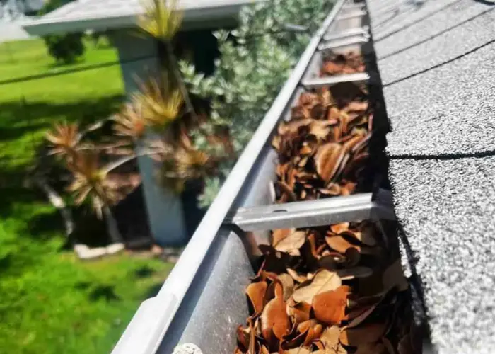 Peachtree City gutter cleaning home page